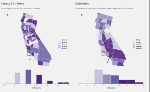 Geovisual analytics project